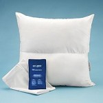 comfort reader pillow