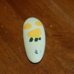 painted-rock-craft