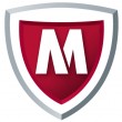 msa_elite_primary_logo_rgb msa_elite_primary_logo_rgb