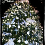 longwood gardens christmas tree
