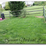 #Digin Greener Lawn and Yard