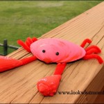 Sea Shell Crab #Craft