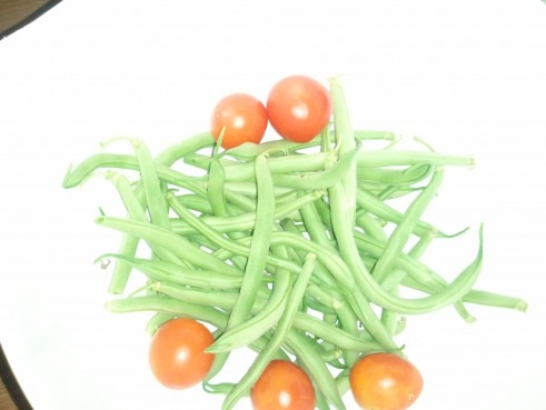 fresh-picked-green-beans
