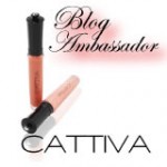 blog ambassdor cosmetics beauty blogger