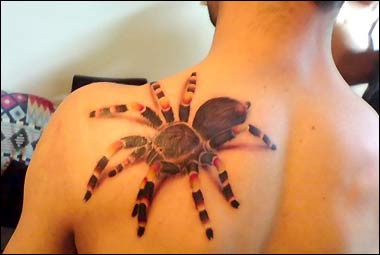 realistic tattoo, spider tattoo, 