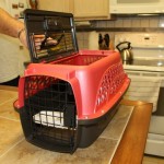 19" pet carrier