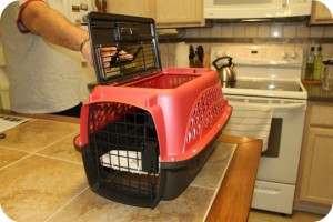 19" pet carrier