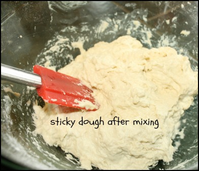 bread dough after mixing