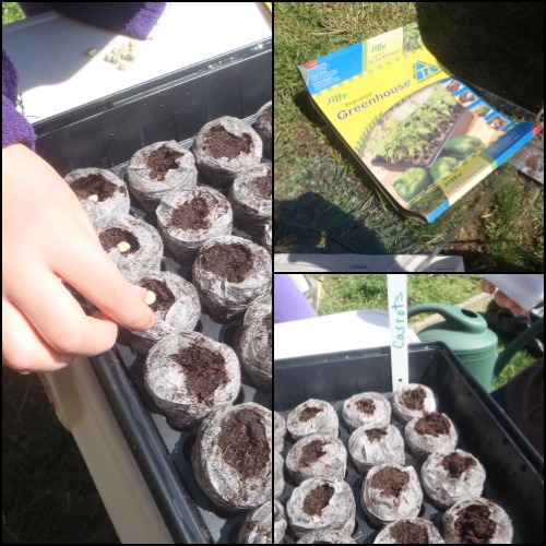 Starting a Garden with the kids