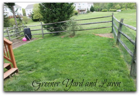 #Digin Greener Lawn and Yard