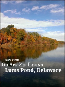 Go Ape Zip Lining Lums Pond Delaware