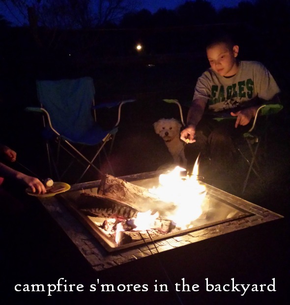 Campfire in the backyard S'mores Cookies 