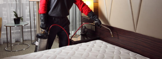 Delsea Termite & Pest Control - Advice on Handling Bed Bugs - Image 02