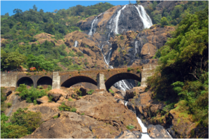 waterfall in goa