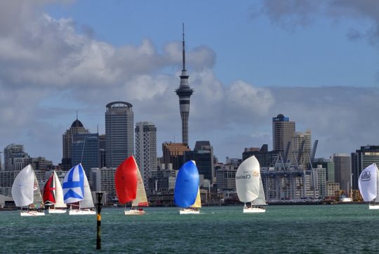 Auckland fun activity