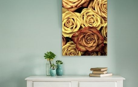 Canvas prints