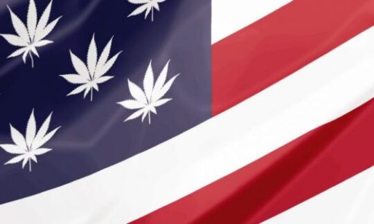 Conservative Cannabis: Legalization Gaining Republican Support