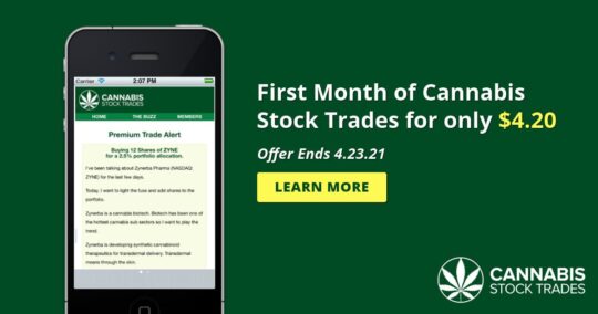 Is This a Good Time to Buy Cannabis Stocks?