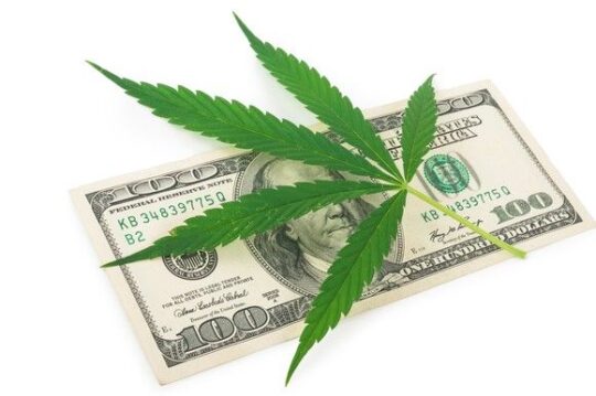 Marijuana Stocks July 2019 – Stocks Newswire