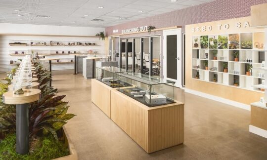 Phoenix Dispensary Anniversary Celebration on May 15