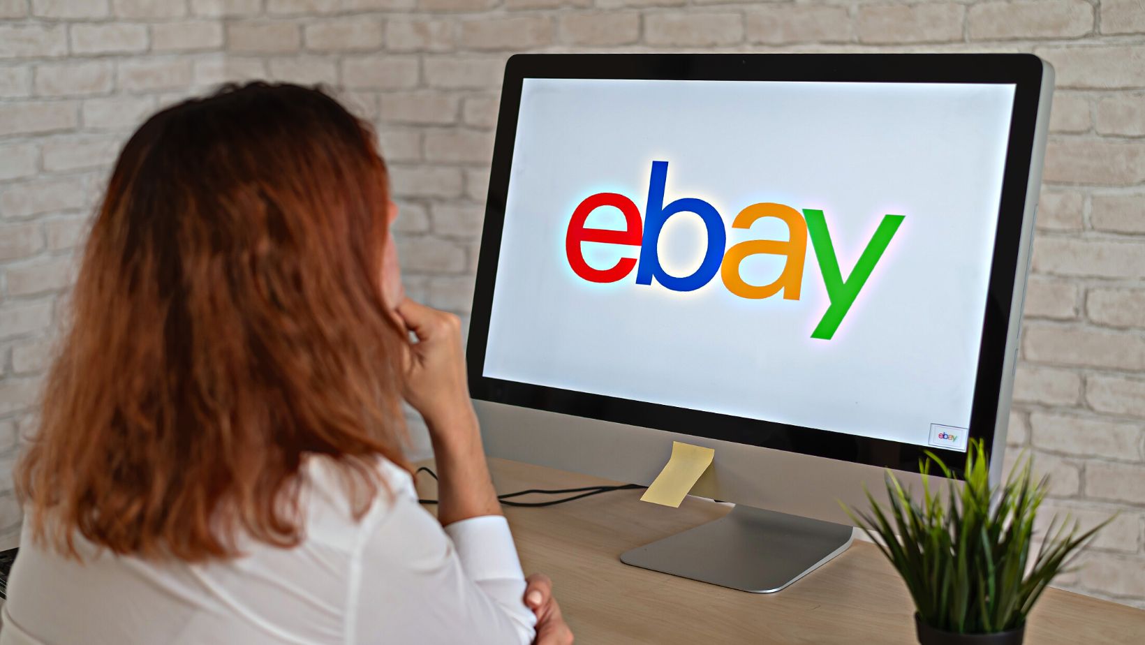 ebay customer service number
