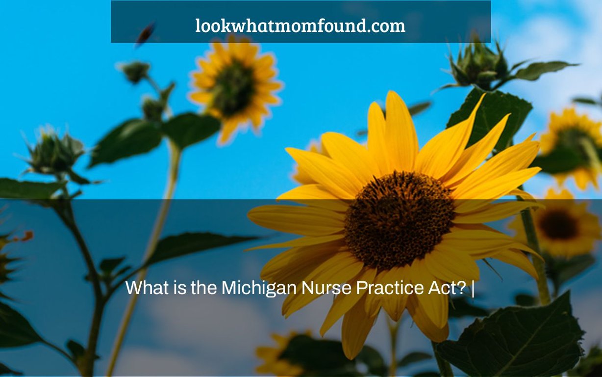 What is the Michigan Nurse Practice Act?