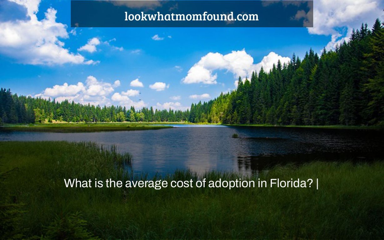 What is the average cost of adoption in Florida?