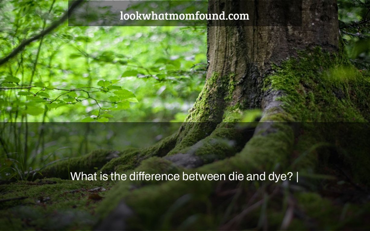 what-is-the-difference-between-die-and-dye