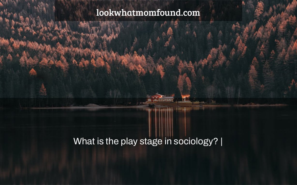 what-is-the-play-stage-in-sociology