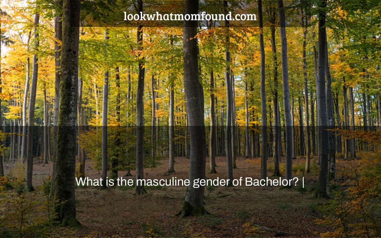 what-is-the-masculine-gender-of-bachelor