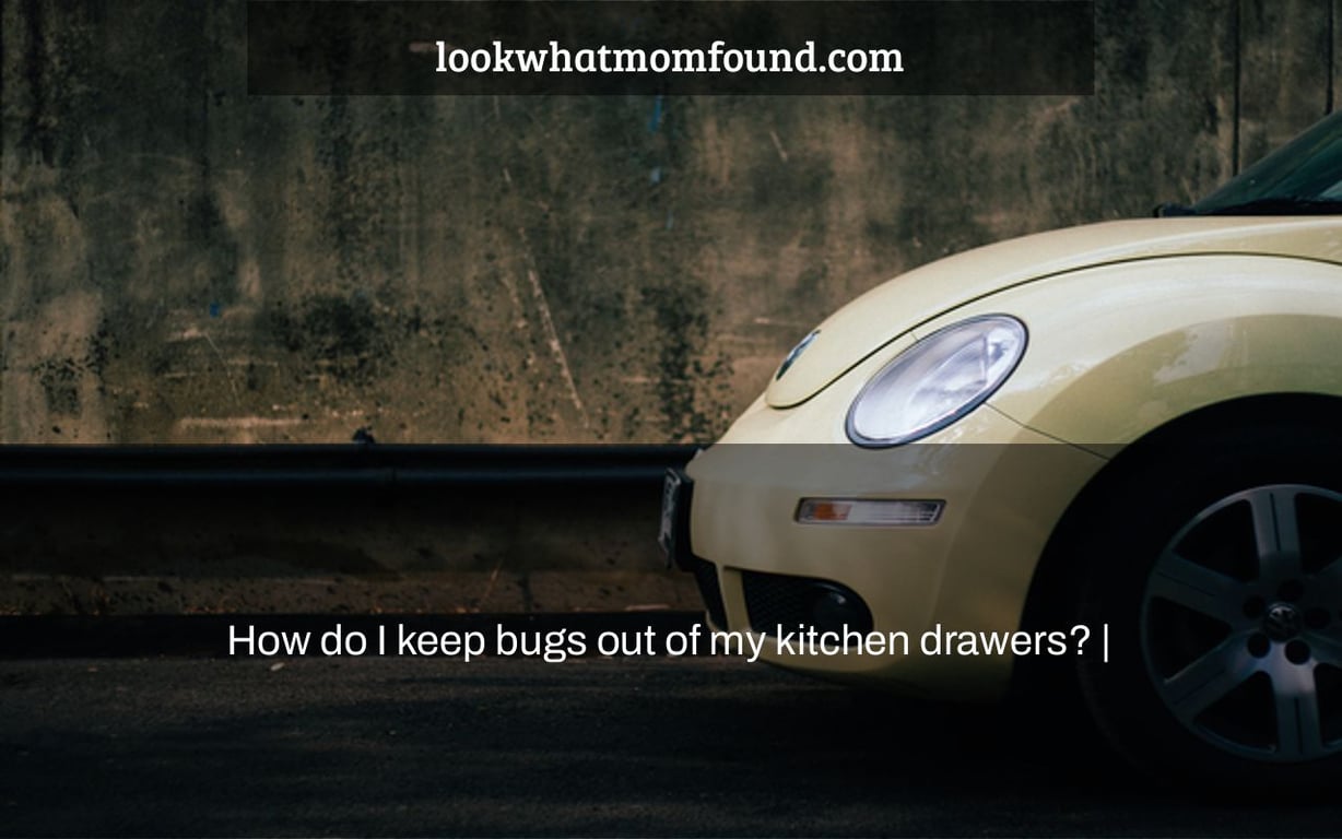 how-do-i-keep-bugs-out-of-my-kitchen-drawers