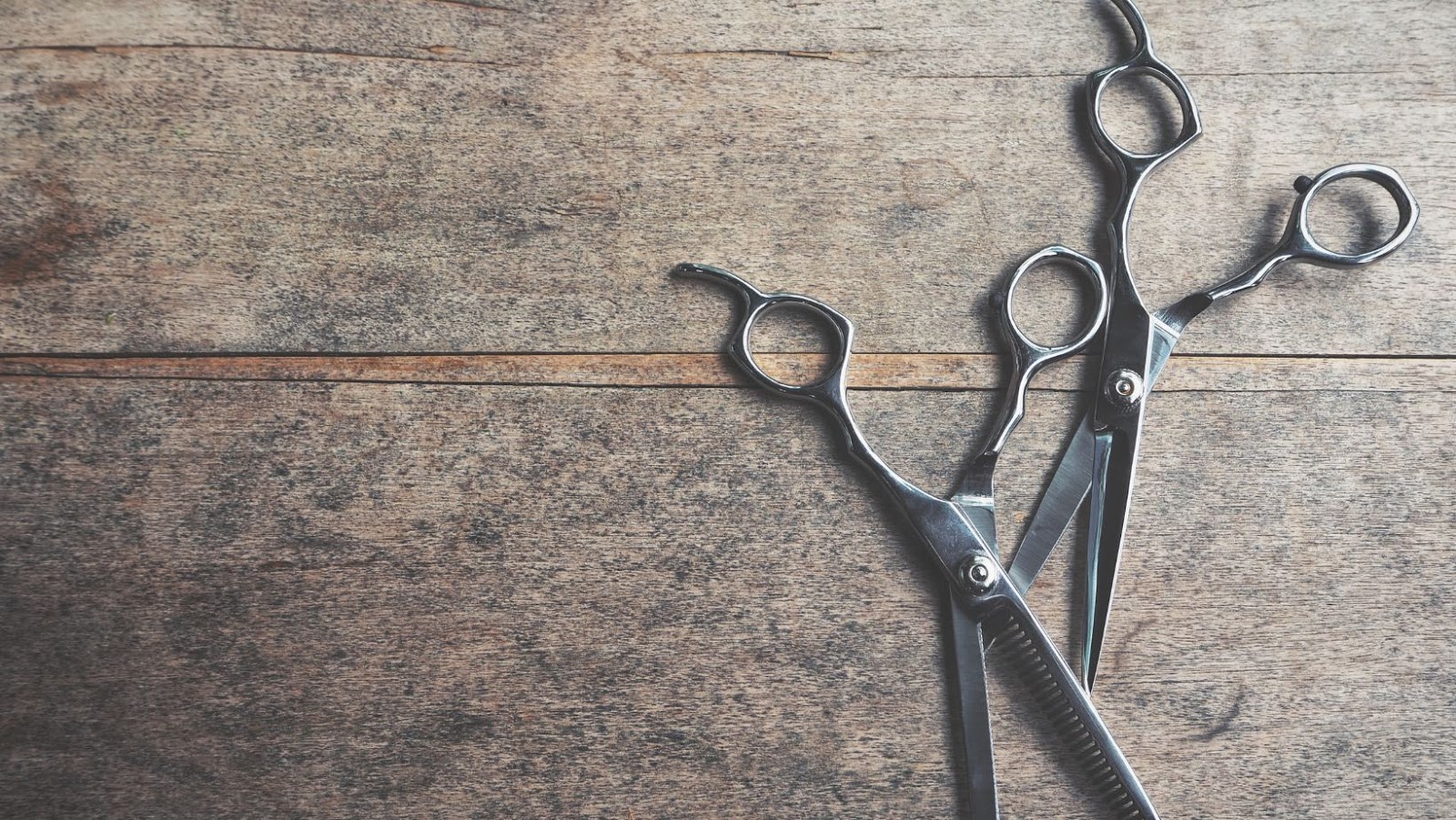 Things You Should Know Before Buying Professional Grade Hair Shears