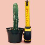 how many feet in 96 inches