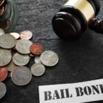 bail bonds companies in westlake village ca