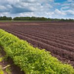 cuántos pies tiene un acre