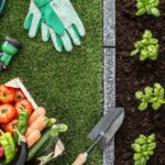 fresno'' - craigslist farm and garden