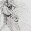Captivating Pencil Drawings That Will Amaze You! Dibujos Bonitos a Lapiz