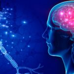 how many brain cells do you lose when you hit your head