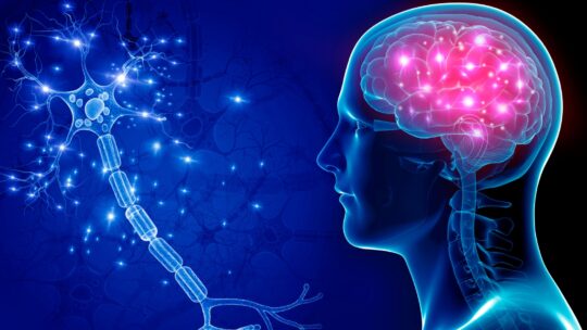 how many brain cells do you lose when you hit your head