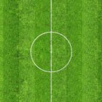 belgium national football team vs canada men's national soccer team stats