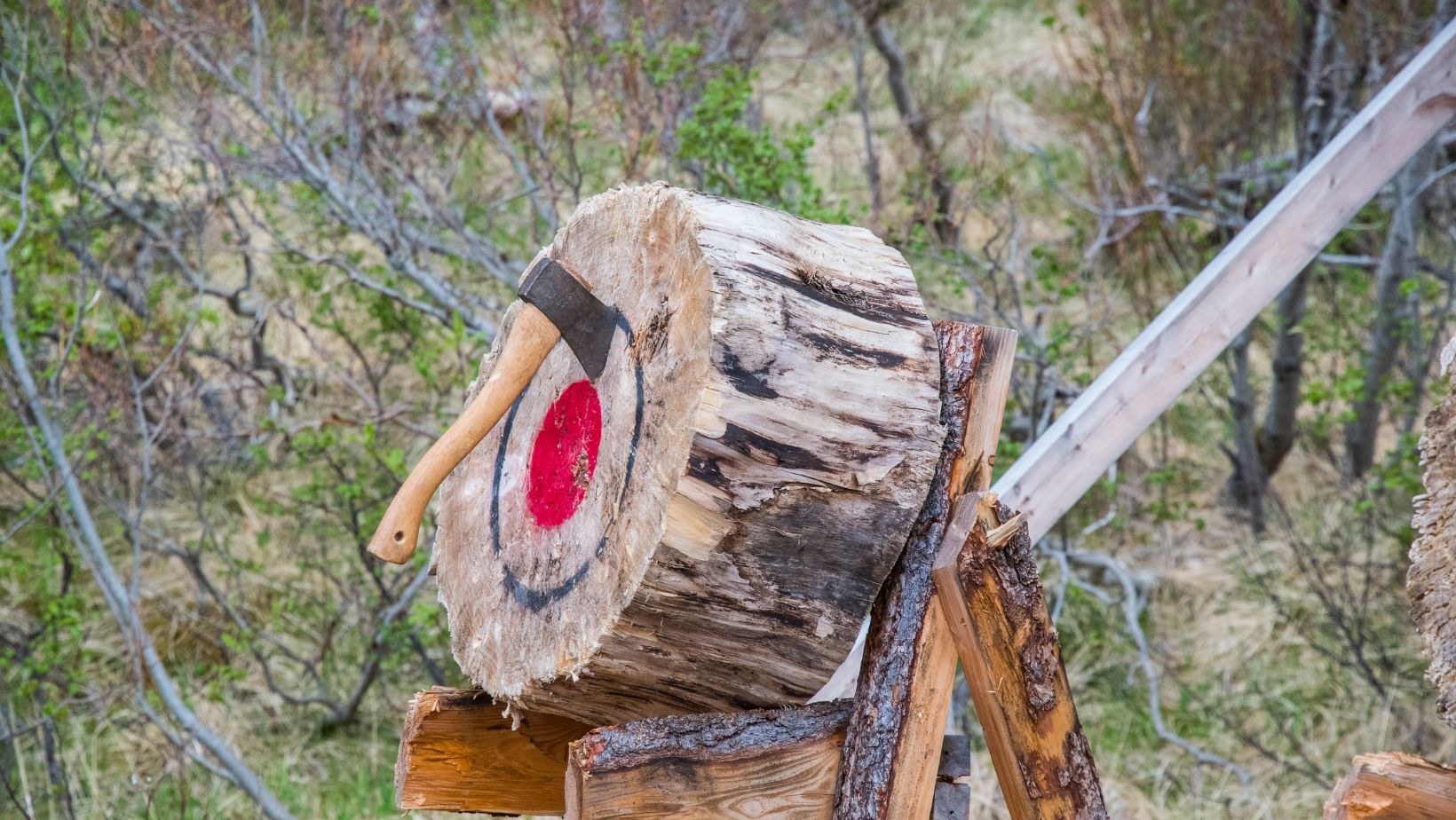 Image3