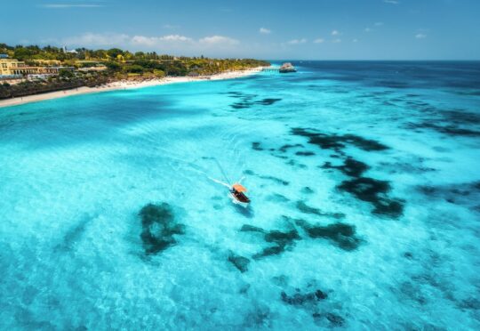 The current image has no alternative text. The file name is: image-18.jpeg